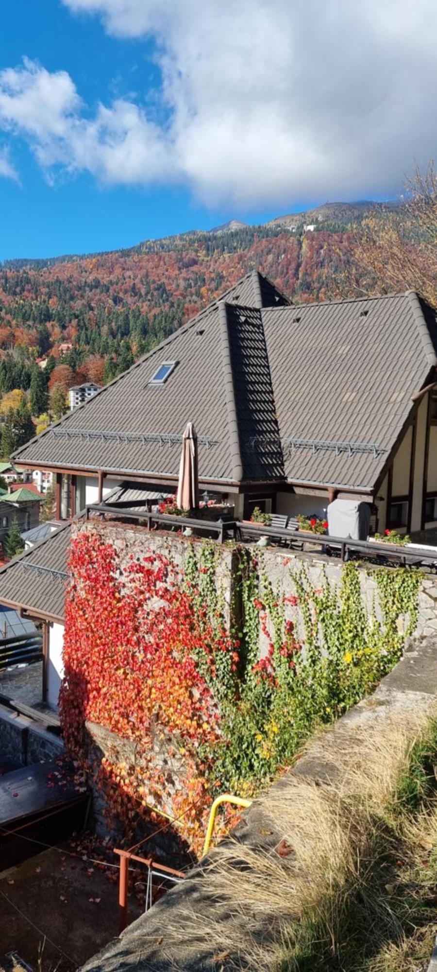 Snowflake Condo Sinaia Exterior foto